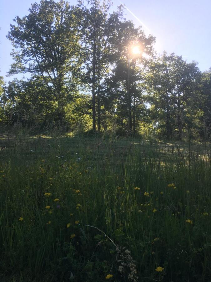 فيلا La Roussille - Oak Barn Saint-Sulpice-d'Excideuil المظهر الخارجي الصورة